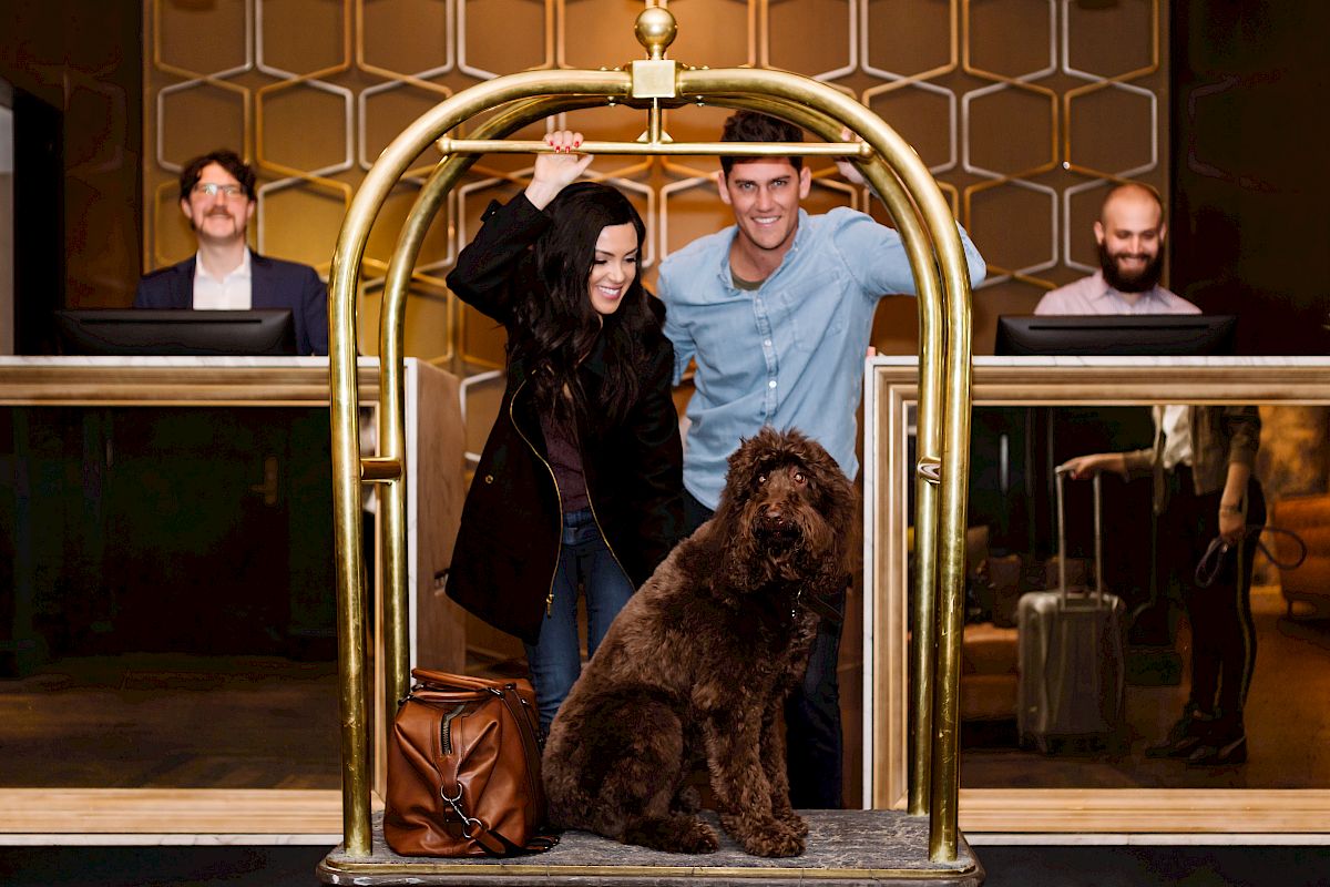 A happy couple and their brown dog on a luggage cart, with two men at the reception desk, in a luxurious hotel lobby.