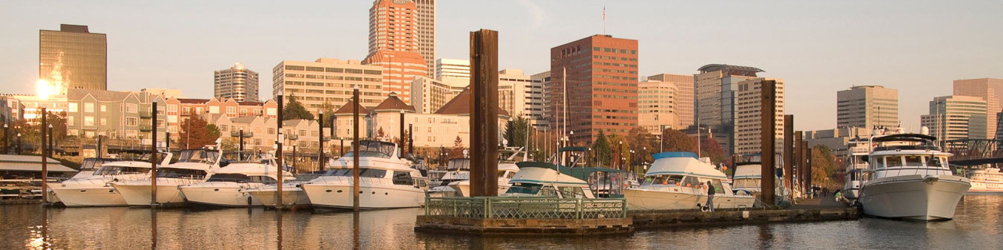 The image shows a marina with boats docked in the water, and a cityscape with tall buildings in the background.