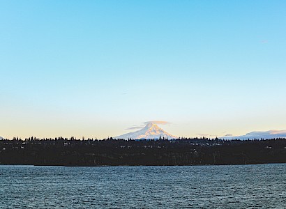 A distant snow-capped mountain under a clear sky, with water and a treeline in the foreground.