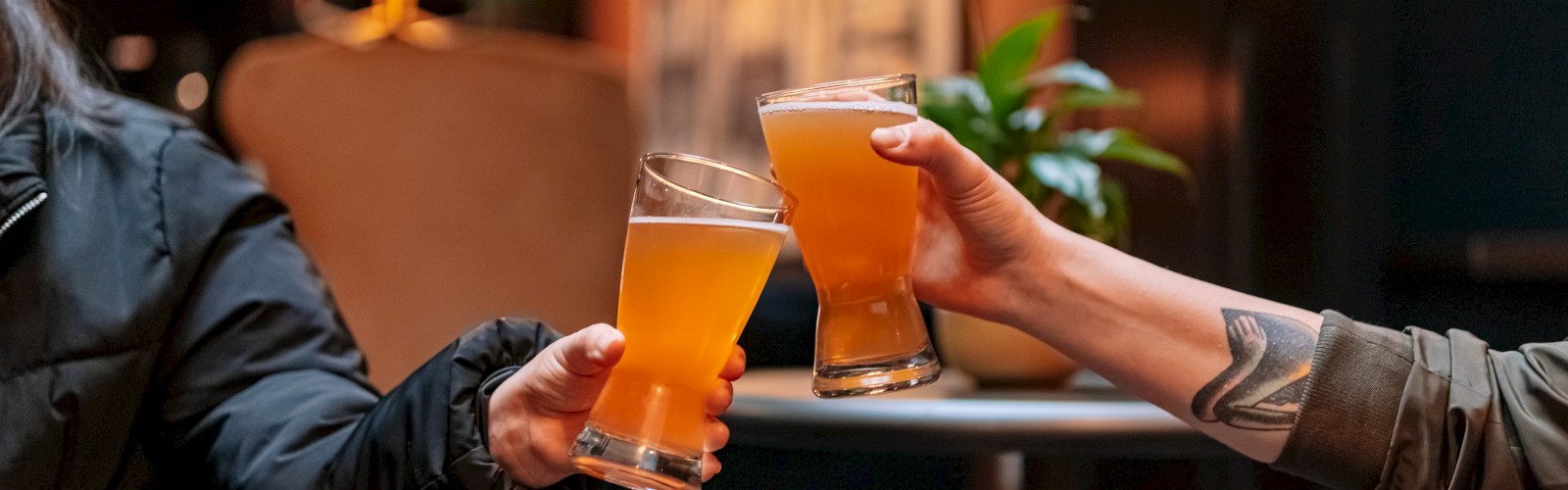Two people clinking glasses of beer in a cozy, dimly lit setting with a plant and blurred background.