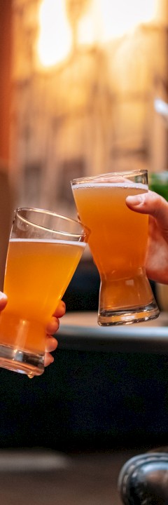 Two people clinking glasses of beer in a cozy environment with soft lighting and a plant in the background.