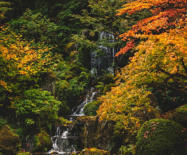 A serene waterfall flows through lush greenery and vibrant autumn leaves, creating a tranquil scene.