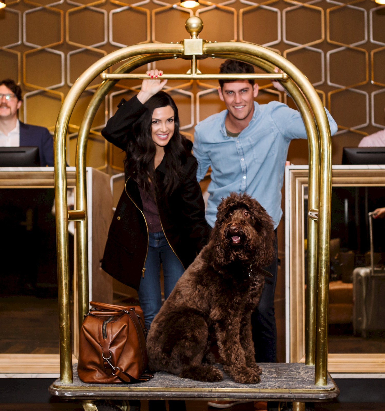 A couple poses with a large brown dog on a luggage cart in a hotel lobby, with two staff members behind the reception desk.