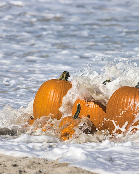 Pumpkins are being splashed by ocean waves on a sandy beach.