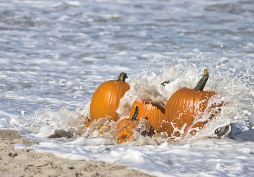 Pumpkins are being splashed by ocean waves on a sandy beach.