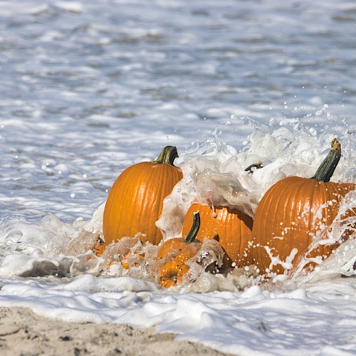 Pumpkins are being splashed by ocean waves on a sandy beach.