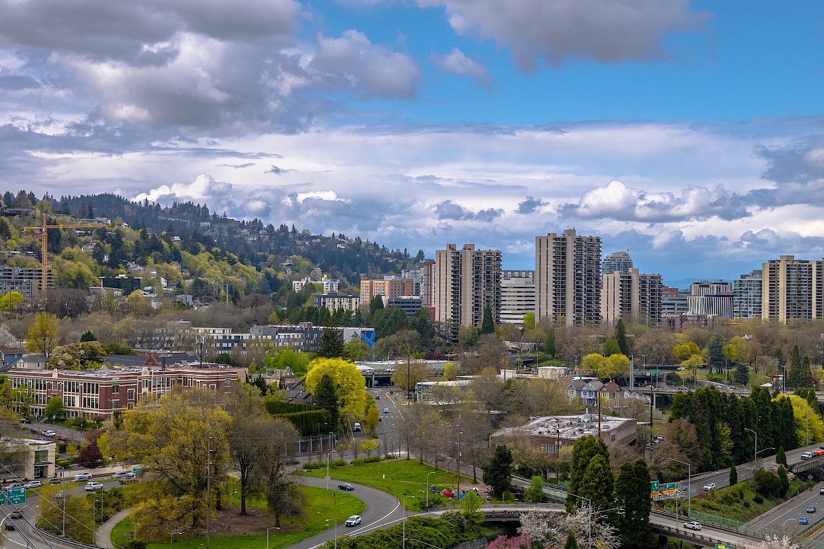 A cityscape with tall buildings, green trees, a cloudy sky, and multiple roads amidst a hilly urban area.