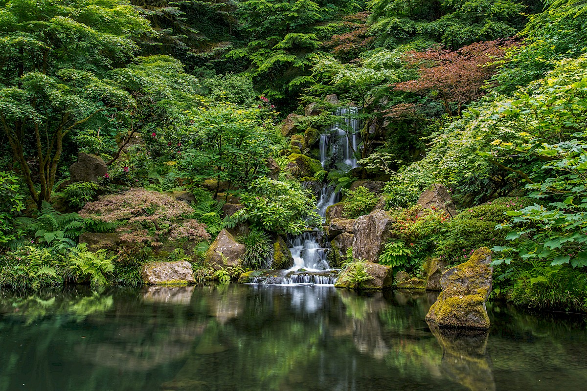A lush, green garden with a small waterfall flowing into a pond, surrounded by various trees, rocks, and vibrant foliage.
